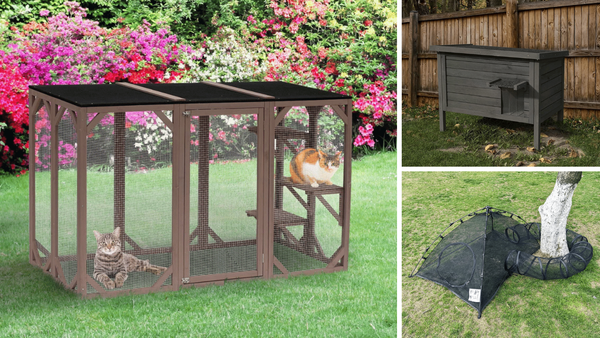 6 Outdoor Cat Enclosures: Let Your Feline Friend Explore in Style!