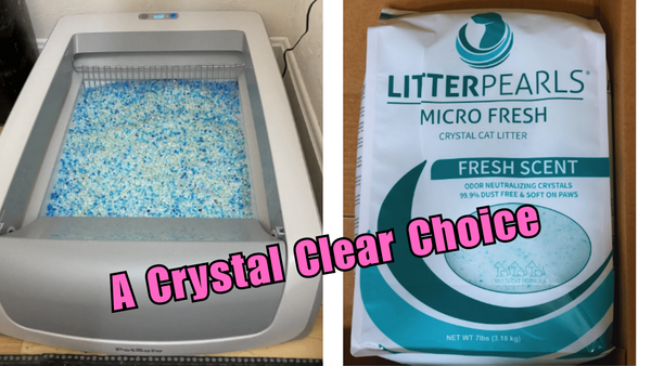 Crystal Clear: Is Crystal Cat Litter Worth the Hype?