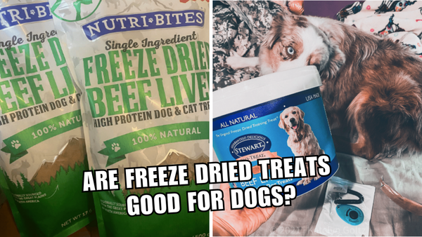 Your Dog Deserves Better: Freeze-Dried!