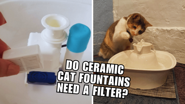 Ceramic Cat Fountains: Exploring the Filter Controversy