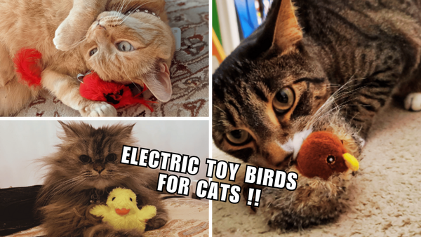 7 Electric Toy Birds for Cats: Wait for the Feline Frenzy!