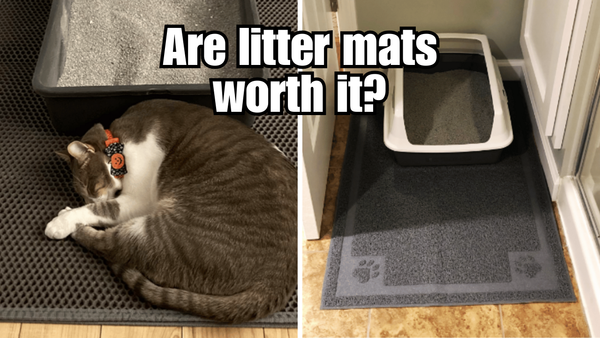 Litter Mats: The Secret Weapon Against Cat Litter Mess!