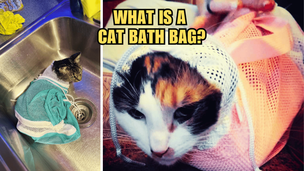 Cat Bath Bags Demystified: What Is A Cat Bath Bag?