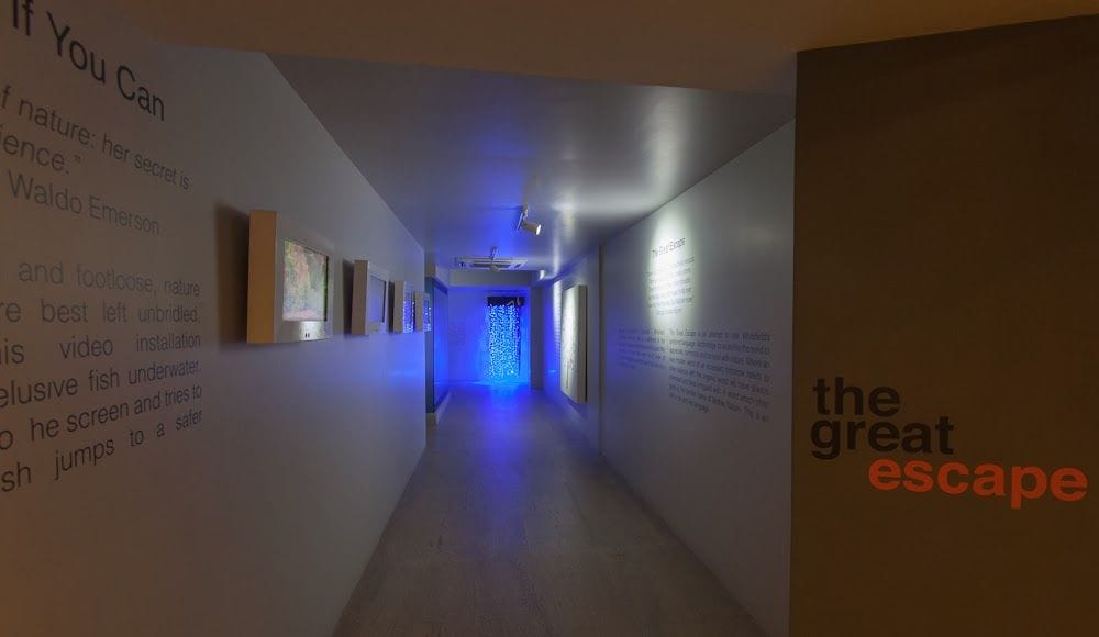 The Great Escape Tech immersive zone and space conceptualized and developed by NYUCT Design Labs for a luxury brand in Bangalore