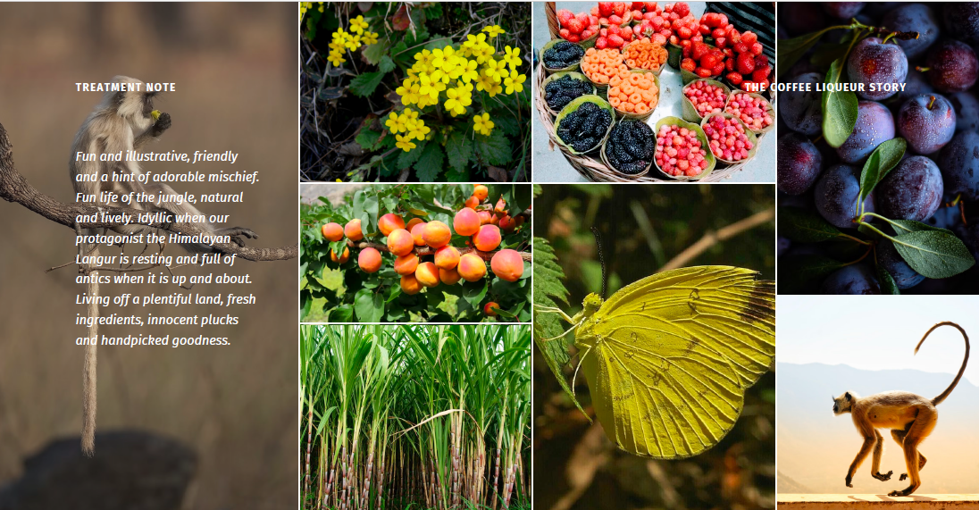 Visualize the world you want to create. And then bring it to life. That's Venture Design.