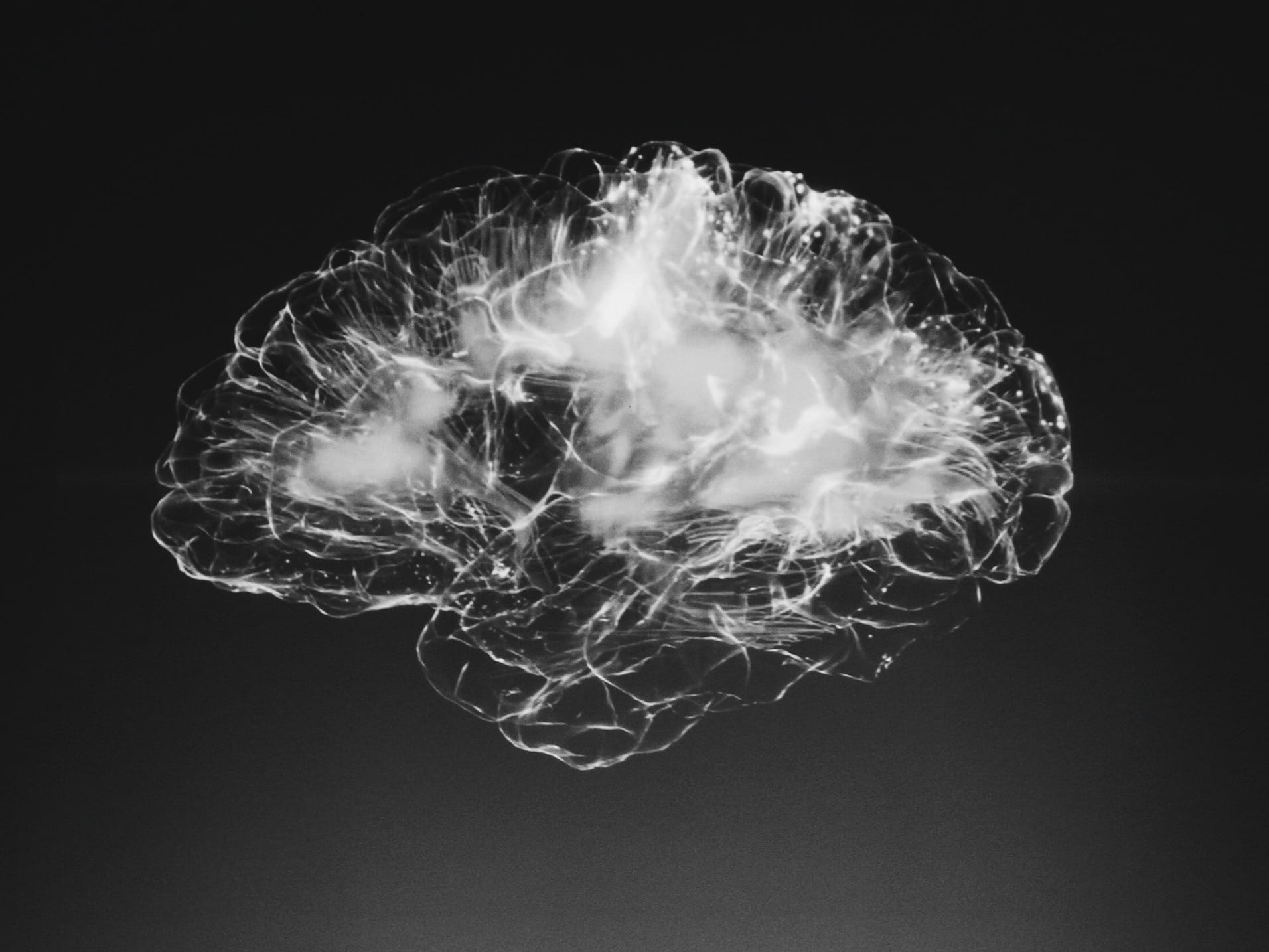a black and white photo of a brain