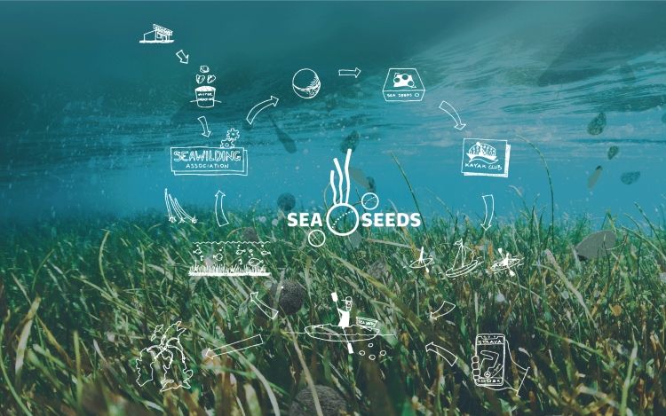 Sea Seeds wins RCA Grand Challenge