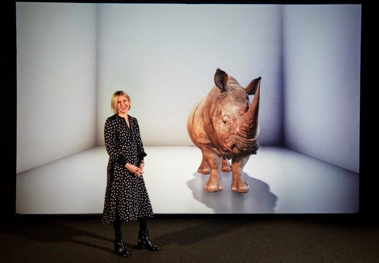 Alexandra Daisy Ginsberg's Lost Rhino show