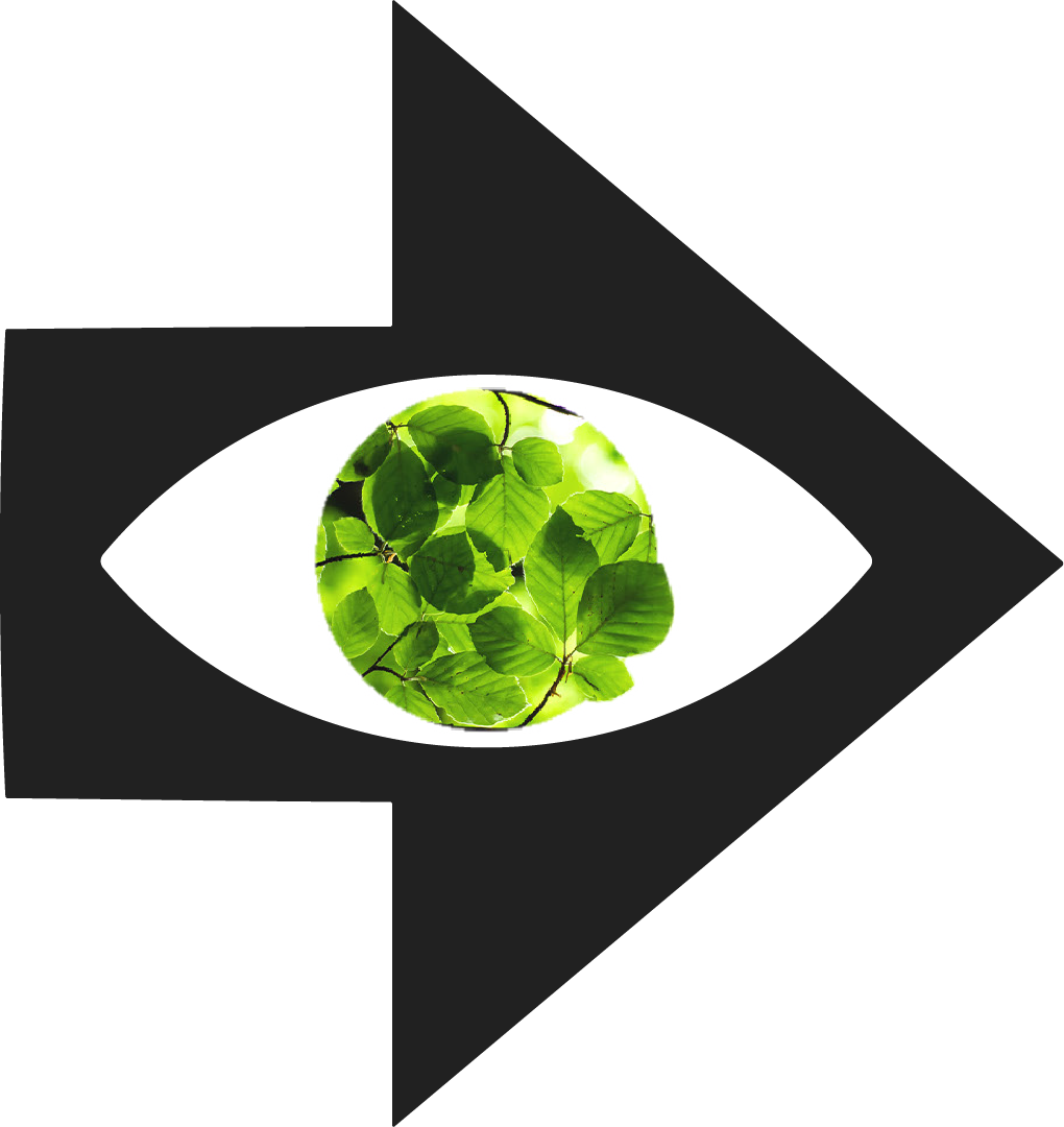 Design for Planet line-up announced