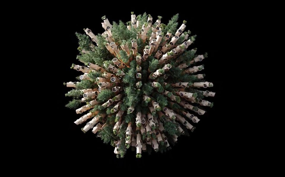 The 'horrible' impact of NFTs