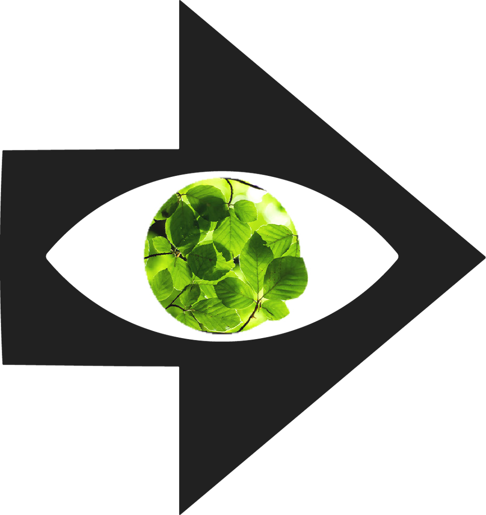 Design for Planet line-up announced