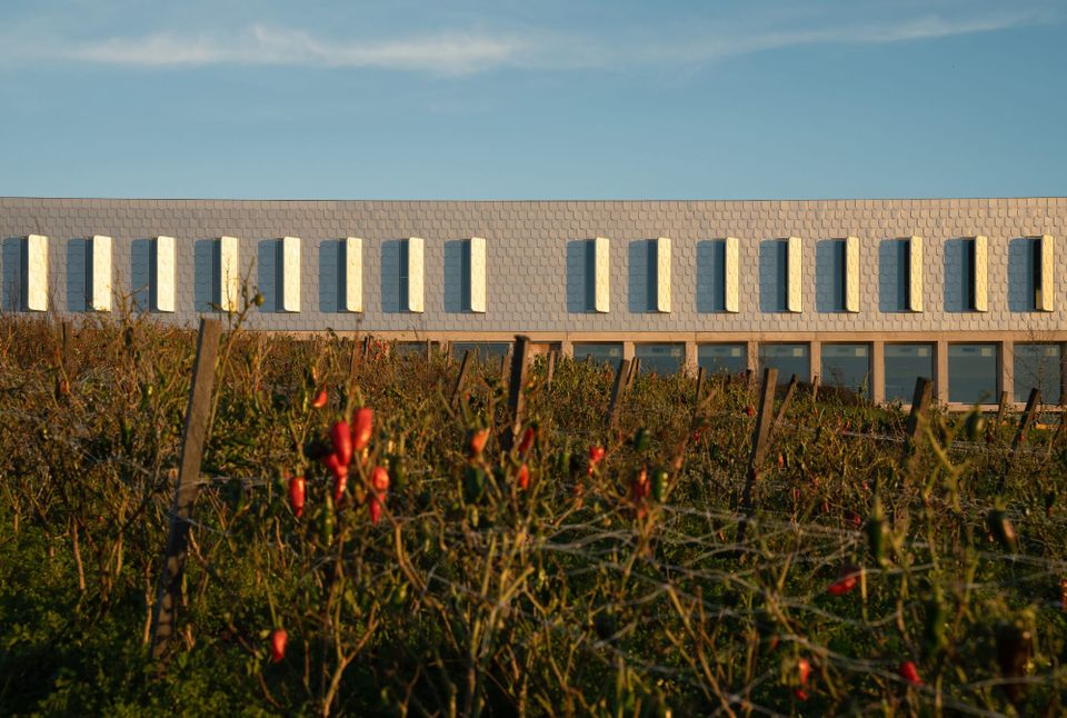 Putting Basque Design on the map.