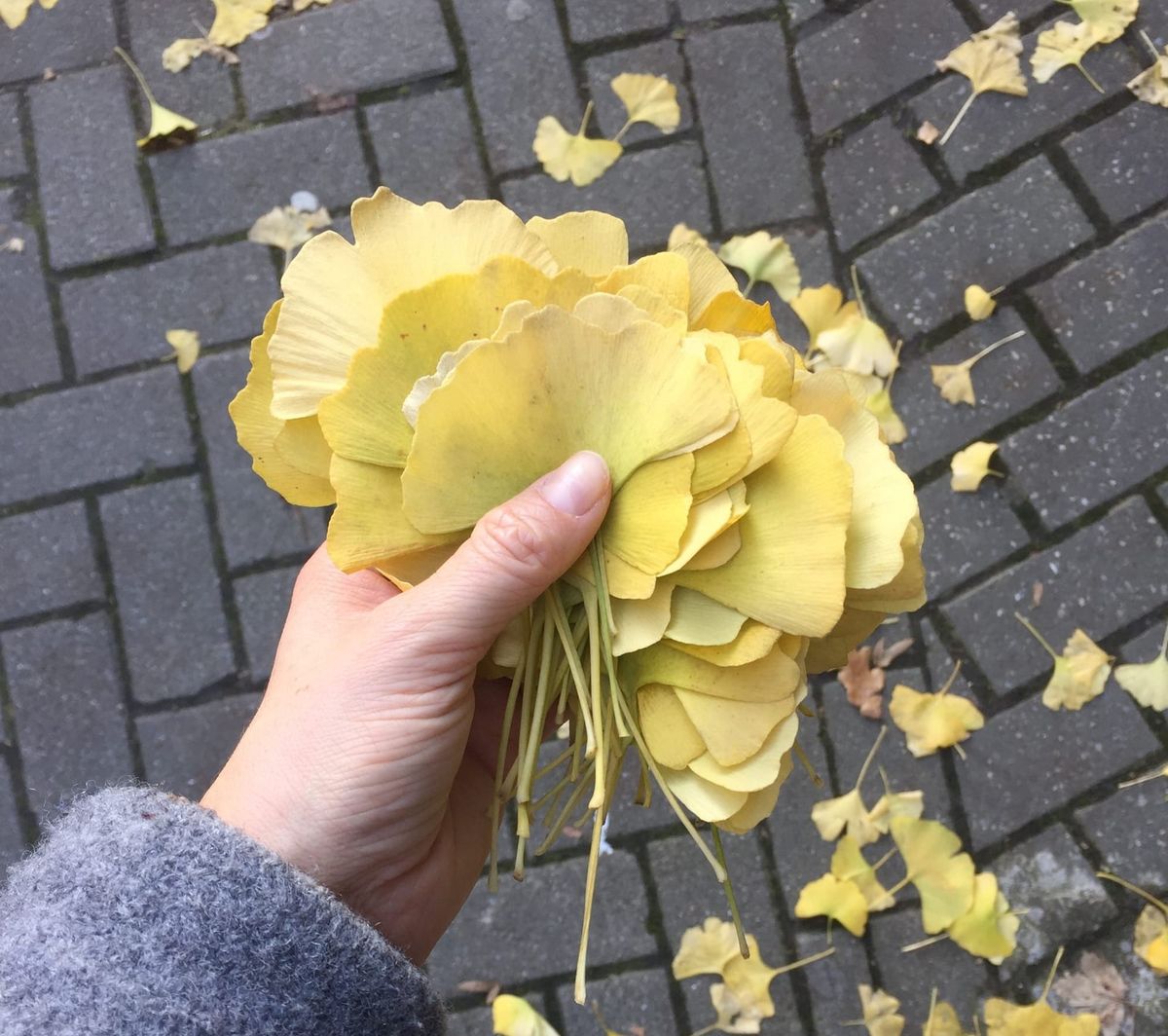 Tai Ji Quan : sport ou pas sport ?