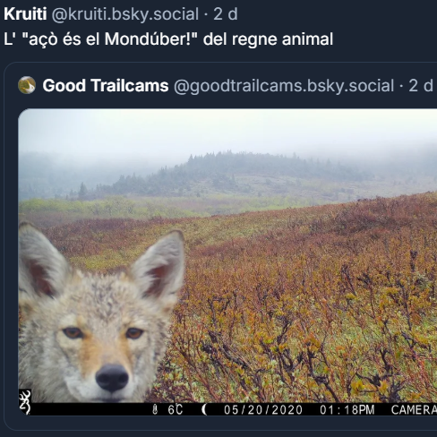 Està lleig fer-se autopromo però más feo es morirse