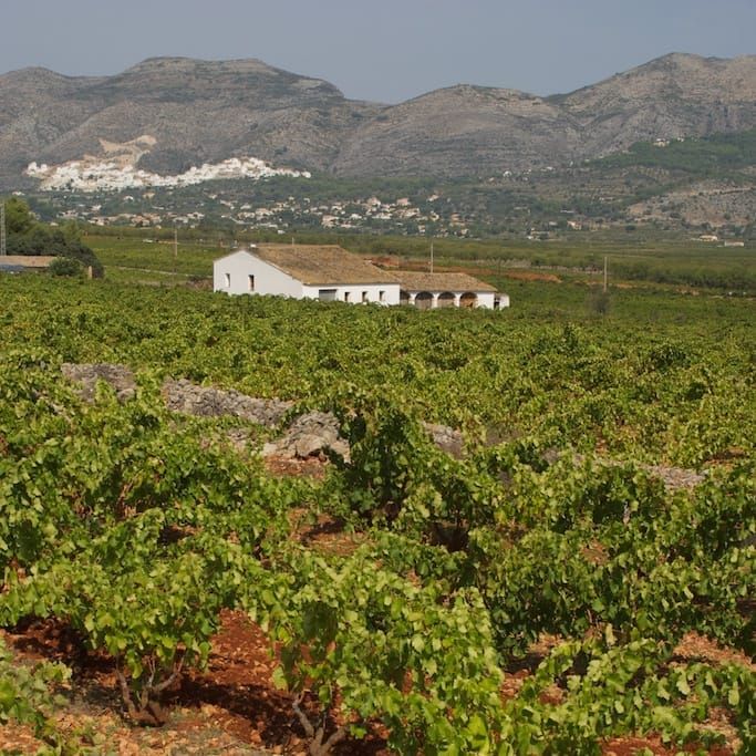El campo como lienzo - Regalet estiuenc