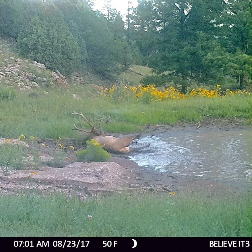 Suar a xorros, ZP, Maria Rovira, vaga educativa, alcoholisme parlamentari i molt més! Newsletter 31-05