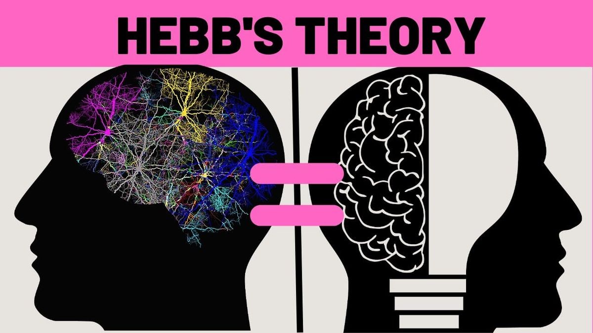 How Hebb’s Law Helped Paul and Barbara Find Common Ground
