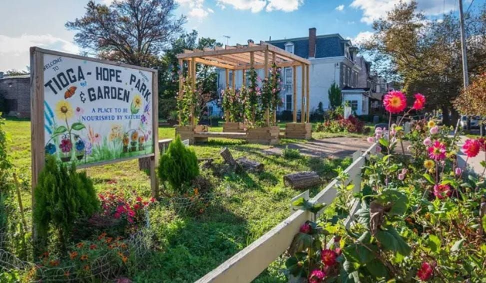 Near this city's new green spaces, a dramatic reduction in crime