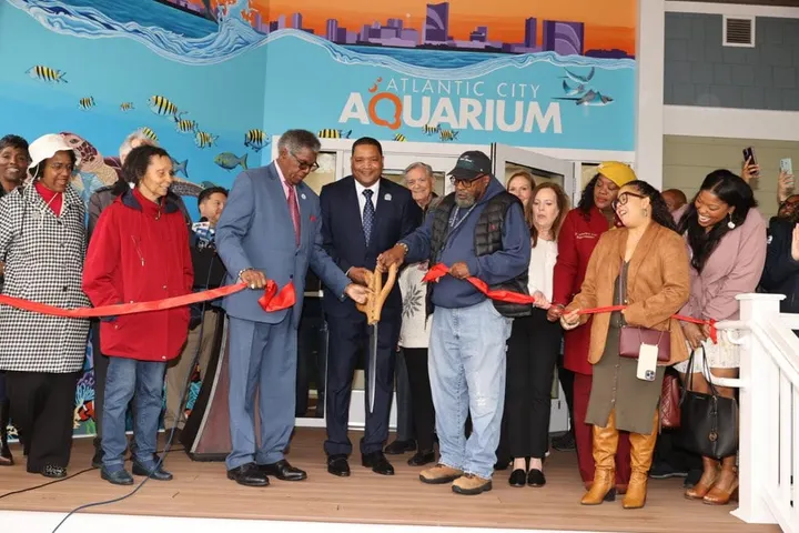 After 5 Years, Atlantic City Aquarium Reopens With New Exhibits and Renovations