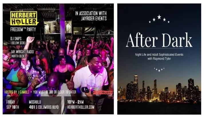 The Herbert Holler Freedom Party: 5 THINGS YOU SHOULD KNOW!