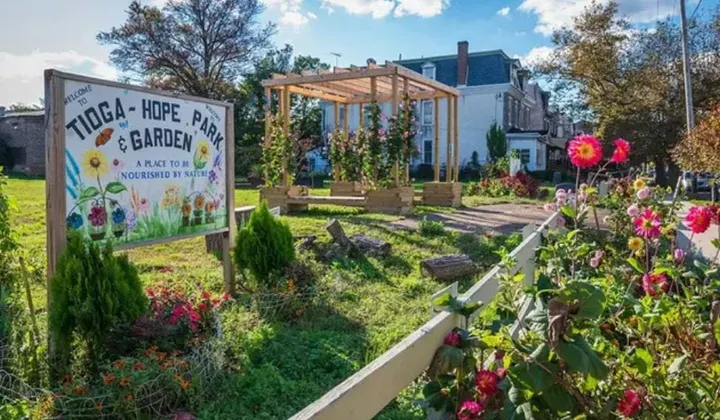 Near this city's new green spaces, a dramatic reduction in crime