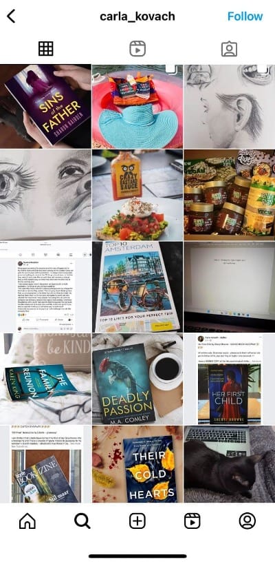 A sample Instagram page from a popular indie author