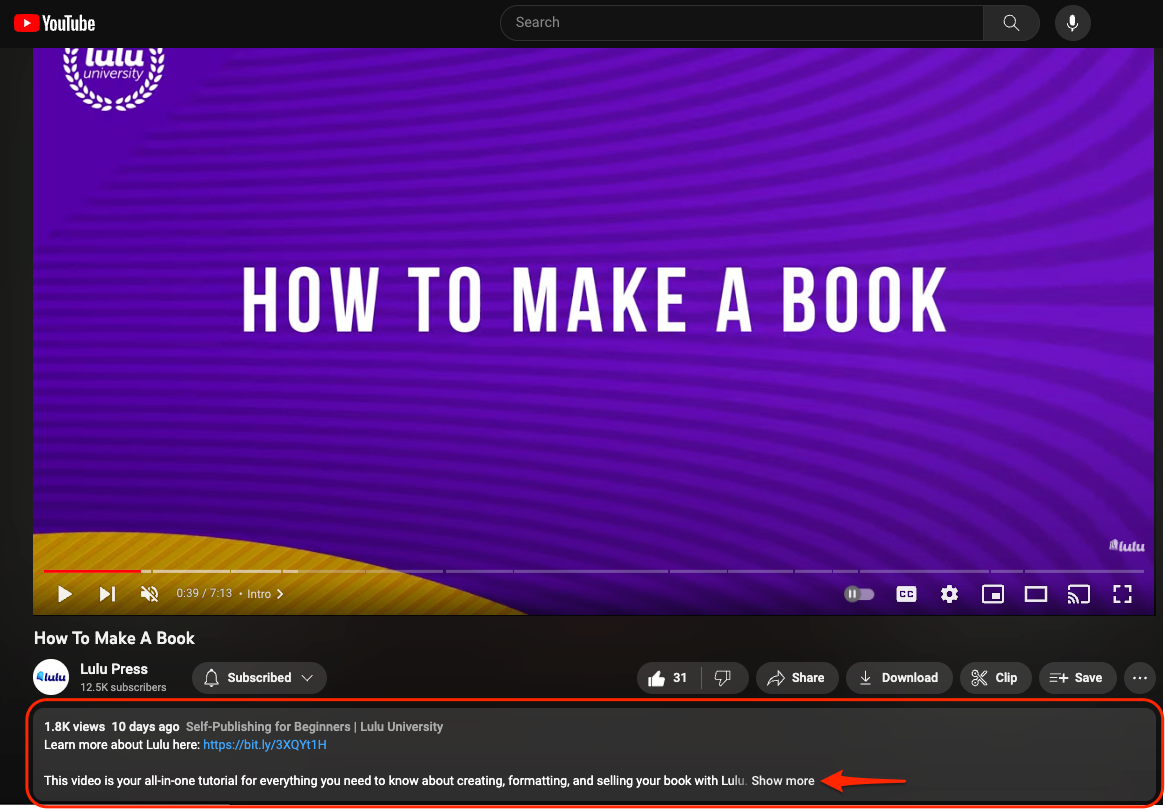 The description for a single YouTube Video