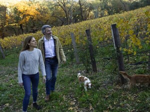 New Napa Winery Commits $1 Million to Charity Before 1st Wine Release