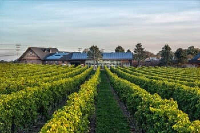 Newport Vineyards Celebrates 30 Years