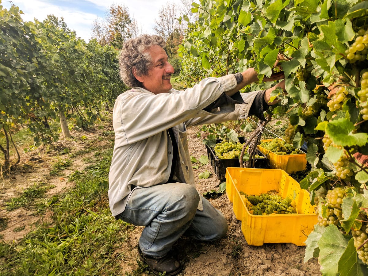 Konstantin Frank Winery: 40 Years of Sparkling Wine