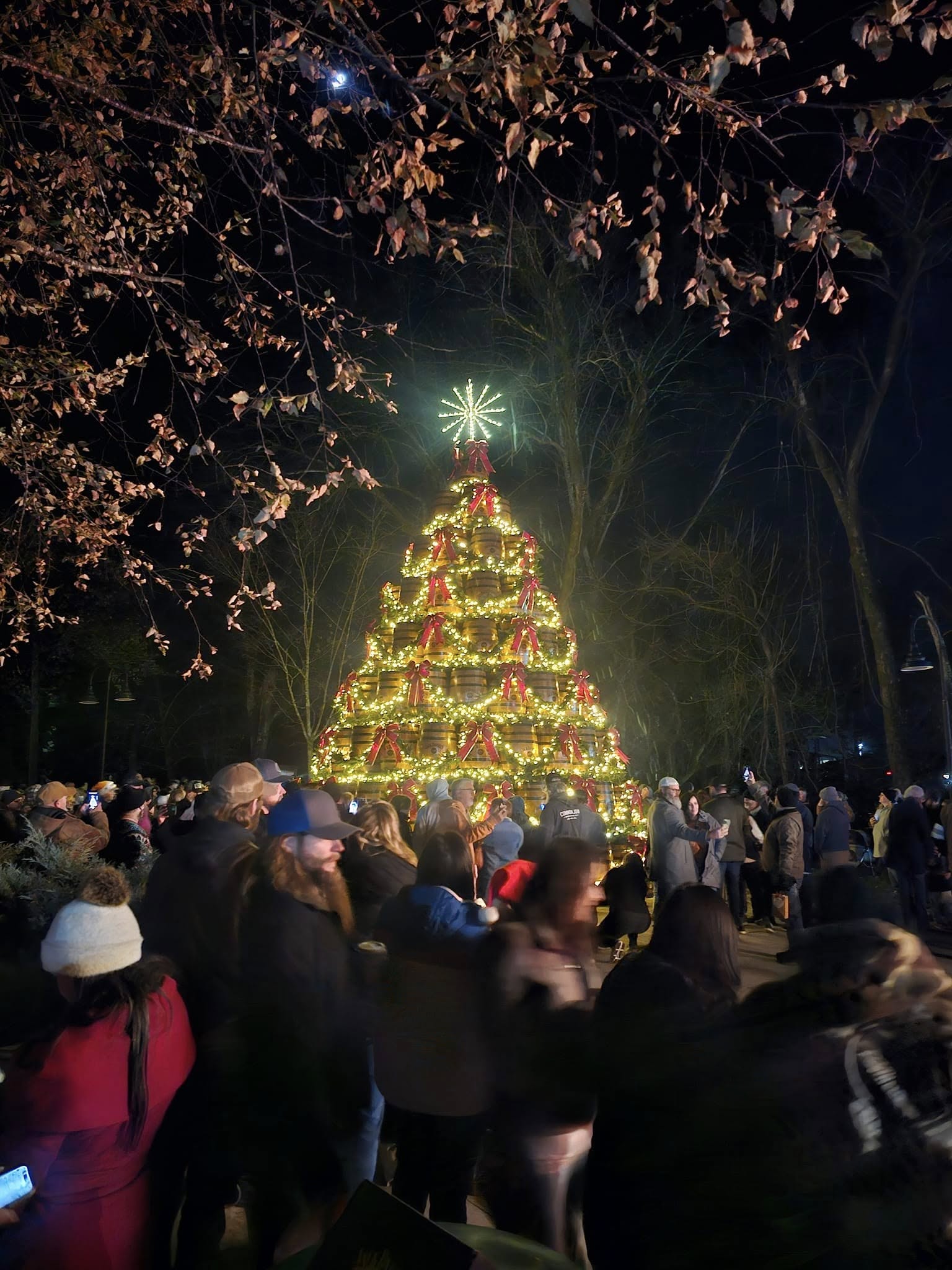 Jack Daniel’s Launches Annual Barrel Tree Sale