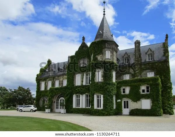 Lawrence Family, McCoy Acquire Chateau Lascombes post image