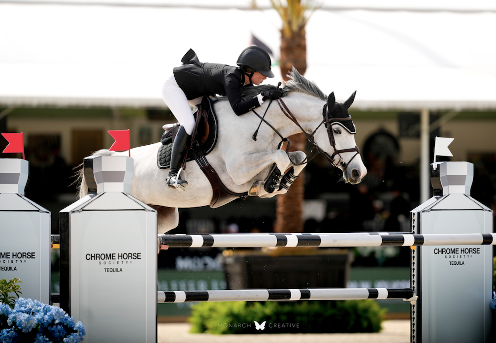 Chrome Horse Society Supports Winter Equestrian Festival, Moves 142 Cases