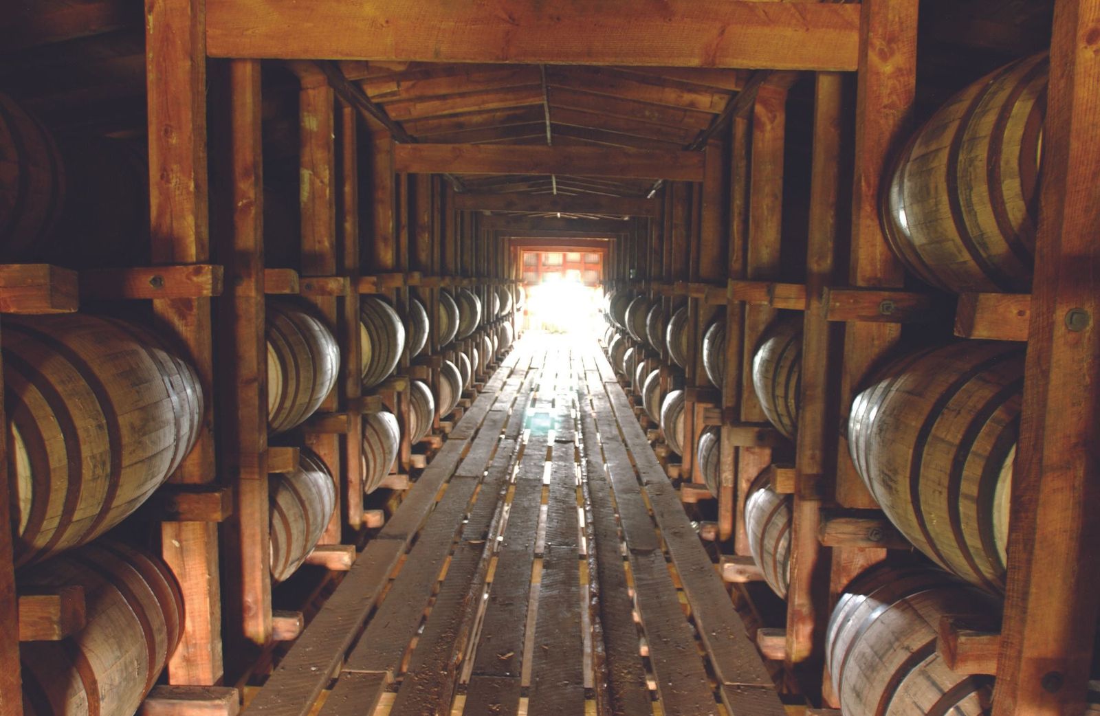 Joel Whitaker cover image