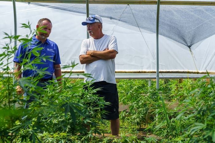 Hemp growers, retailers targeted in section of government shutdown bill
