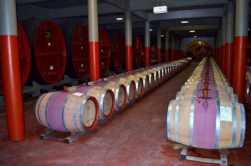 Treasury Wine Slashes Value of U.S. Assets, Shares Gain