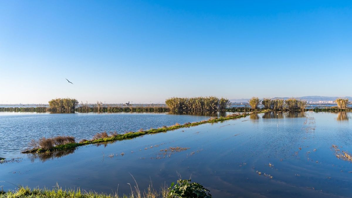 Coucher de soleil à l'Albufera : notre rituel d'été préféré