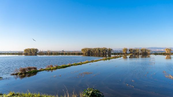 Coucher de soleil à l'Albufera : notre rituel d'été préféré