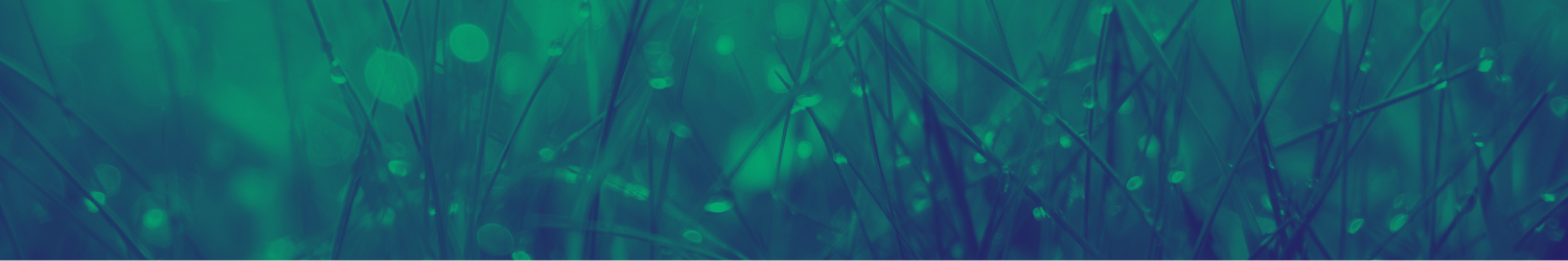 Evidence-based mindfulness practices for psychedelic integration. MBSR, Anapanasati breath work, Metta - Lovinng Kindness meditation, somatic awareness. Free resources Europe.