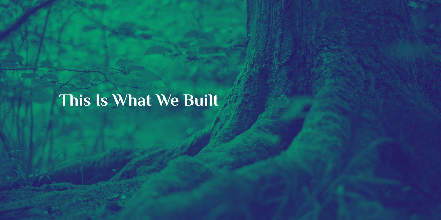 Psyflow free psychedelic integration mindfulness peer support Europe Spanish English community apoyo gratuito integración psicodélica mindfulness entre pares comunidad Europa accesible