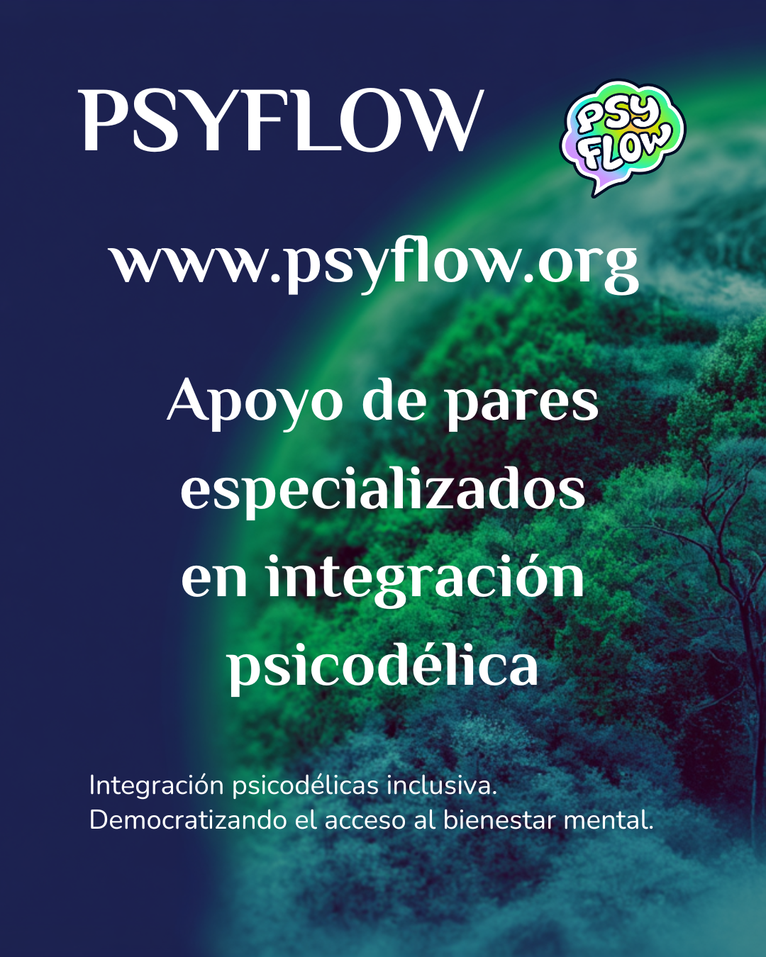 fases viaje psicodélico apertura ascenso pico descenso retorno guía experiencia psicodélica barcelona, madrid, valencia, españa, latam, argentina, mexico