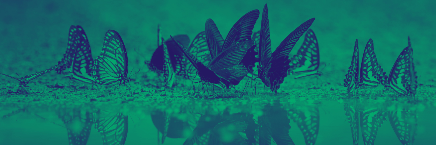 Free psychedelic integration support Europe peer community Barcelona Madrid Berlin Lisbon Amsterdam Spanish English apoyo gratuito integración psicodélica entre pares