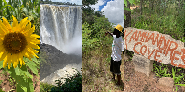 Zimbabwe and the Realisation of Earth Hospice