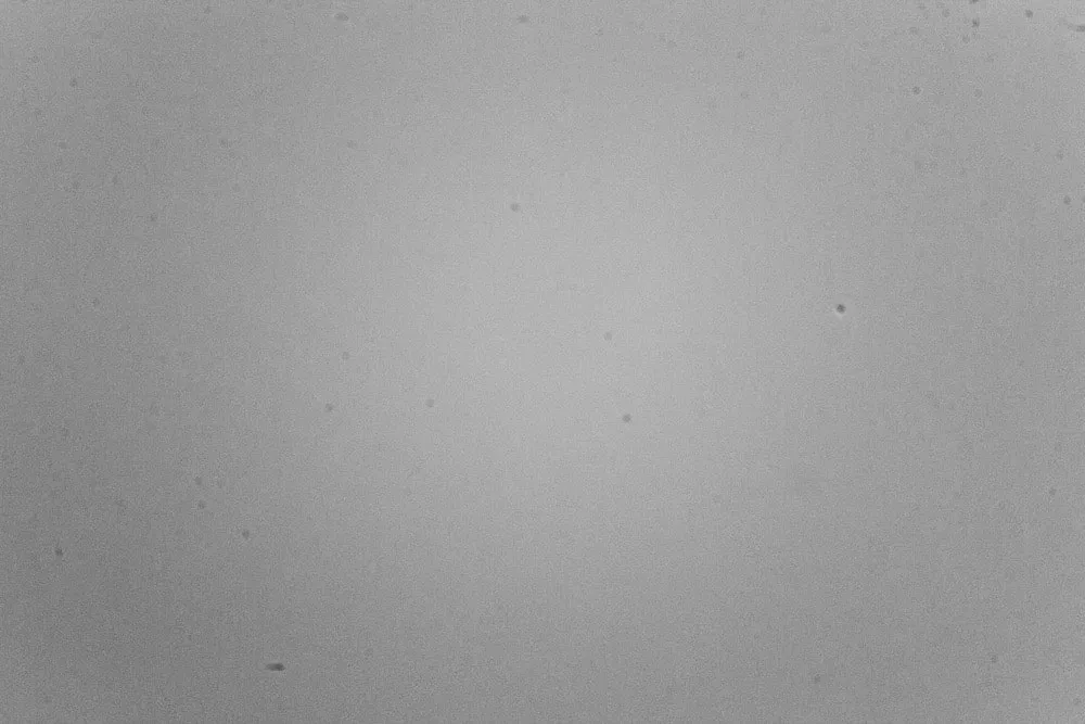 astrophoto flat