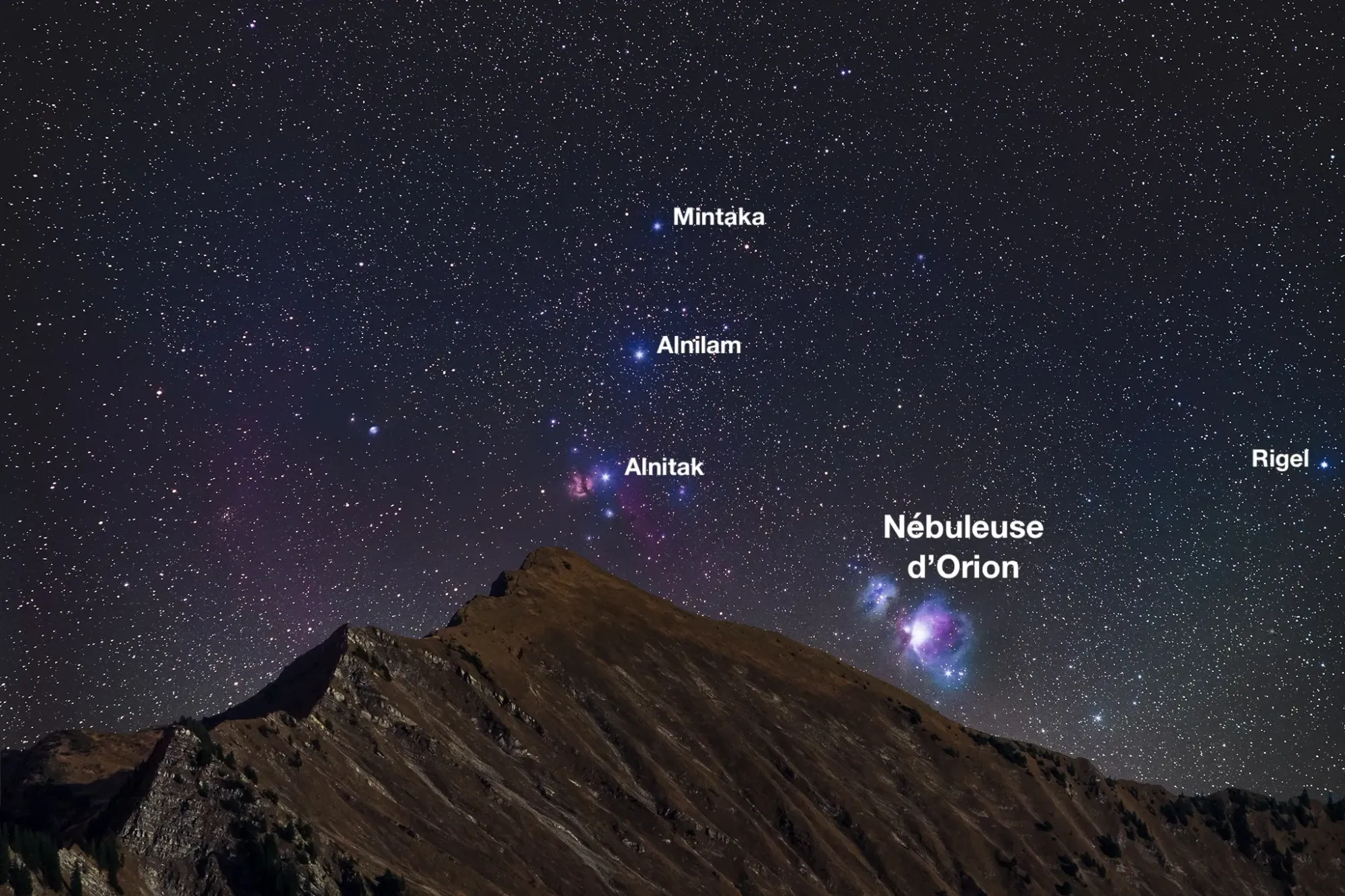 constellation orion tête de cheval