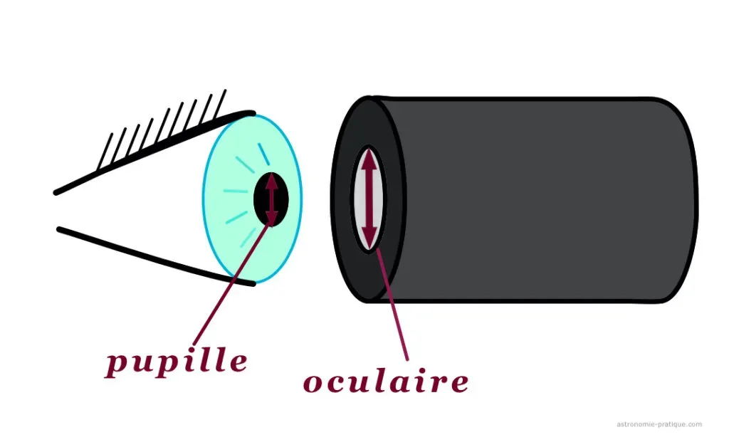pupille de sortie
