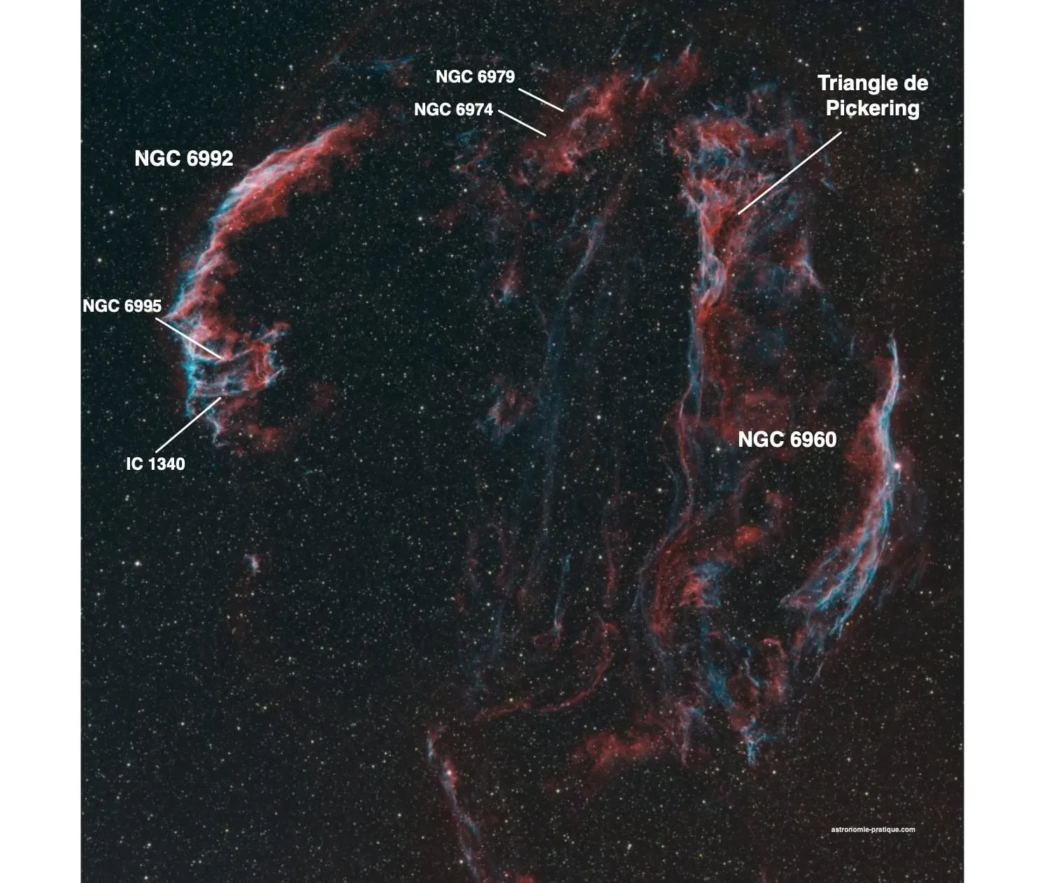 schéma dentelles du cygne