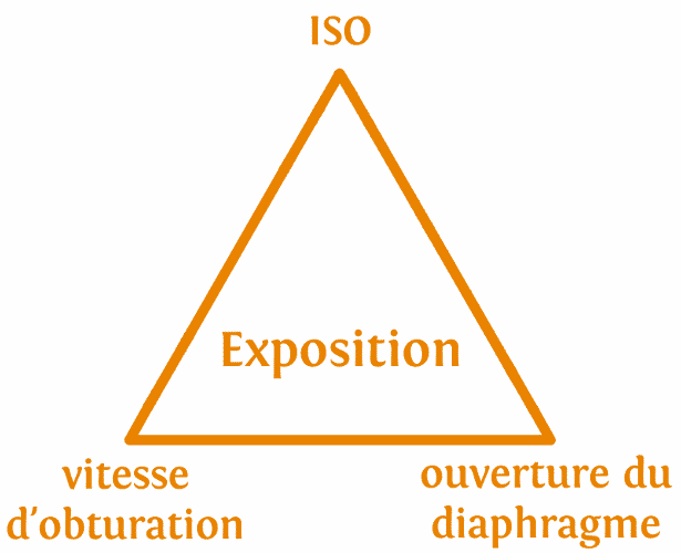 triangle exposition