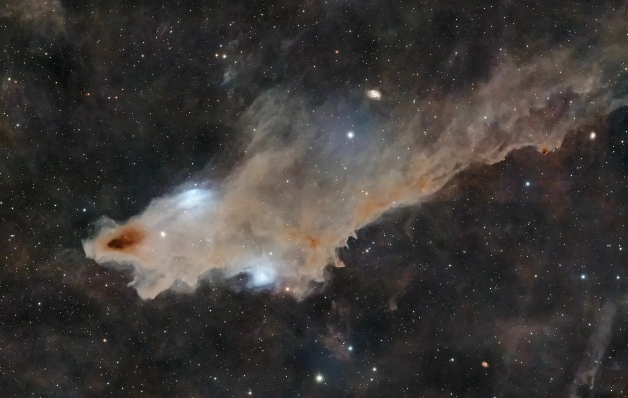 Nébuleuse Obscure du Requin