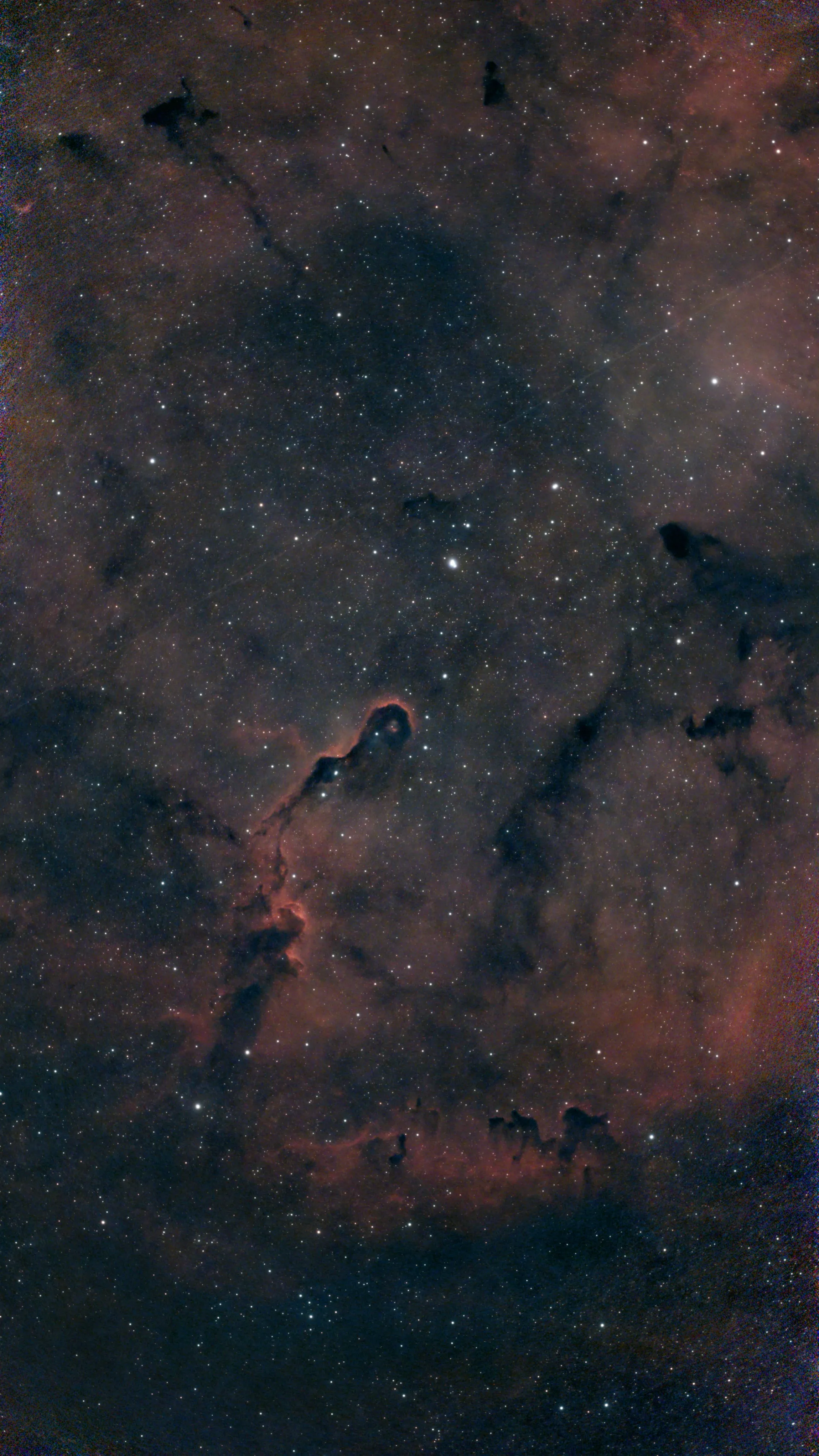 La Nébuleuse de la Trompe d’Éléphant au S50 Pro